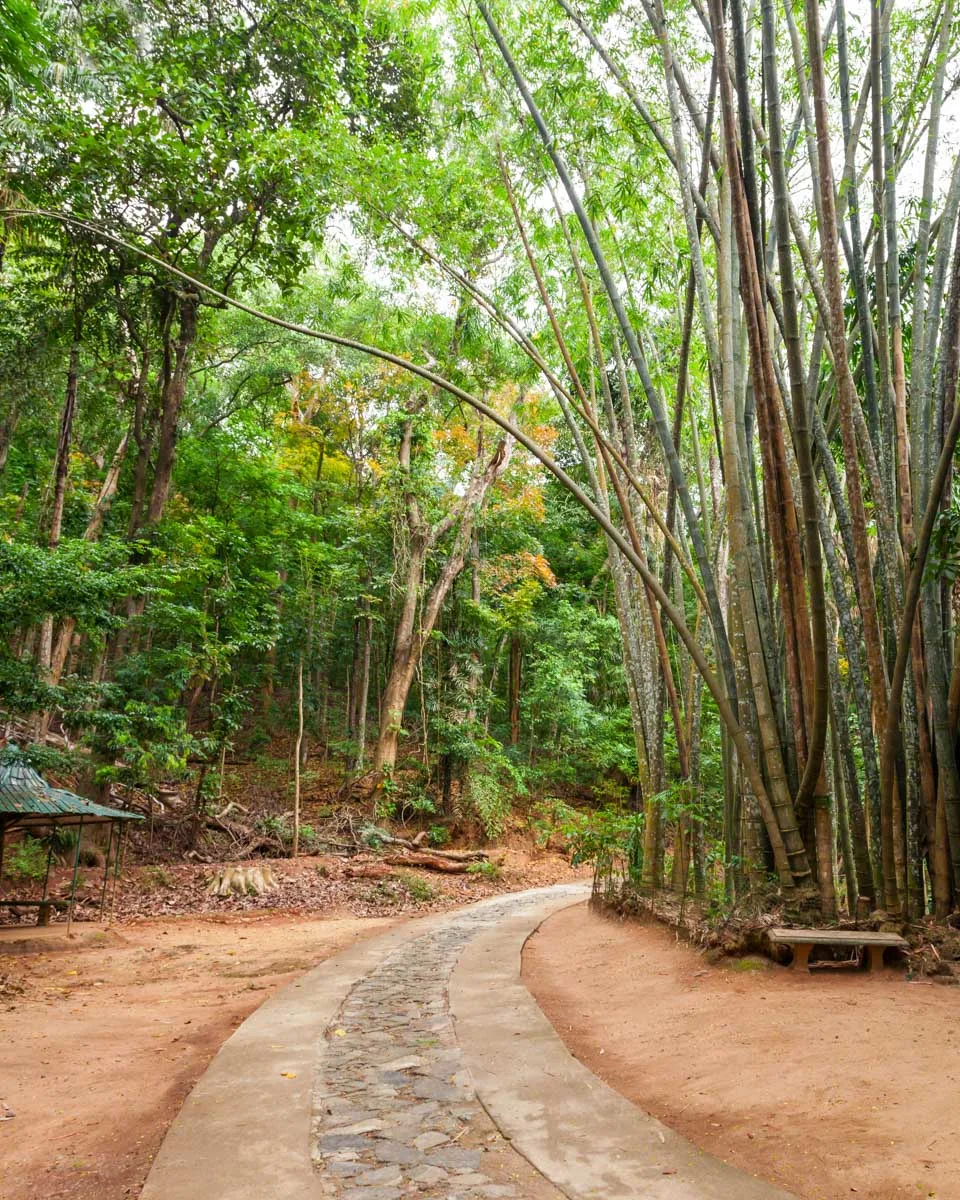 Royal Botanical Garden